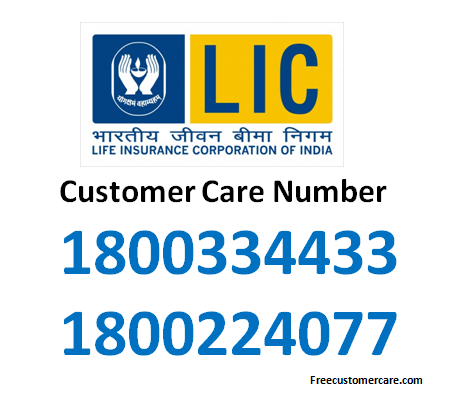 Forex customer care number